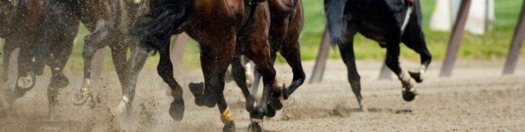 6478f9e7809b7d33ad2f1a00 Horse Racing Hero
