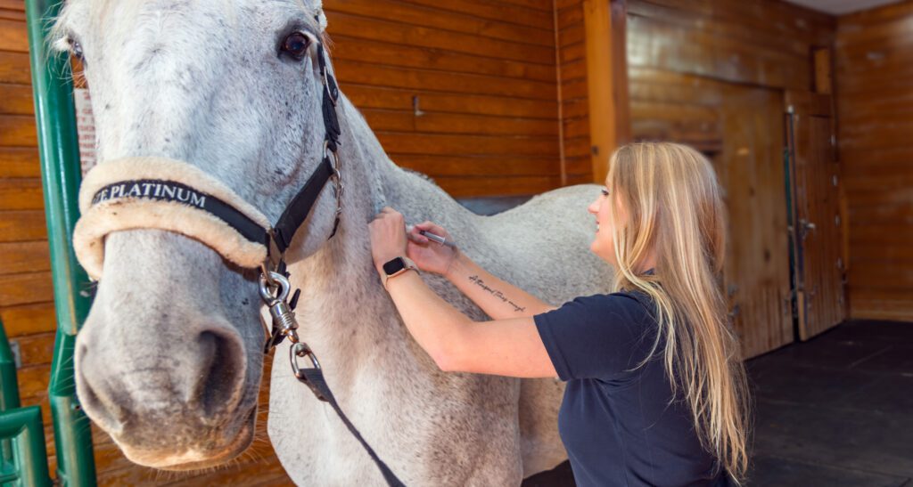 654a28fa45927b578955a0b9 Senior Horse Bloodwork