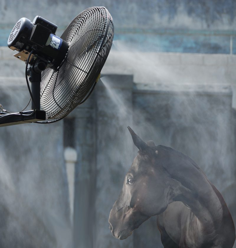Horse under a misting fan.