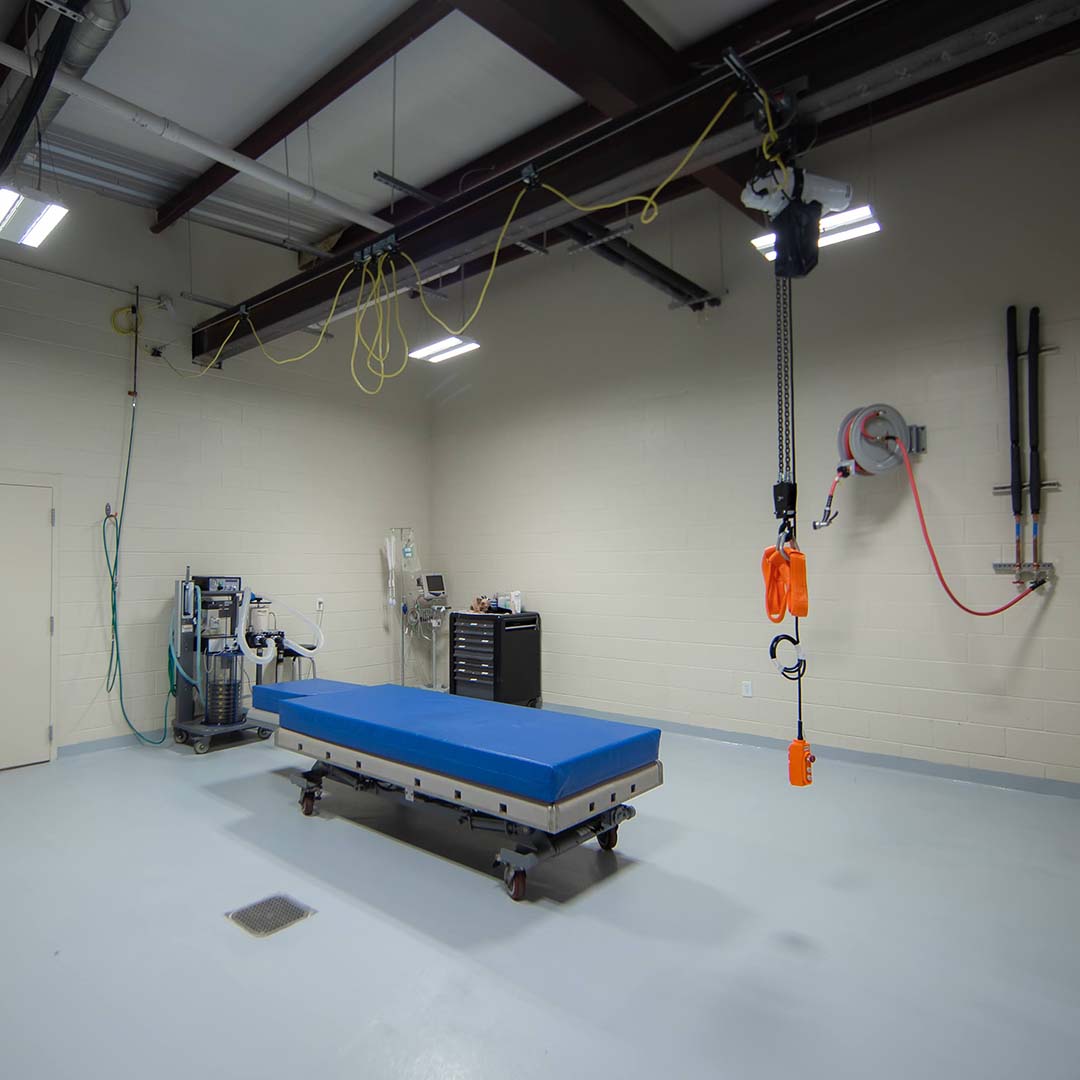 Treatment Area