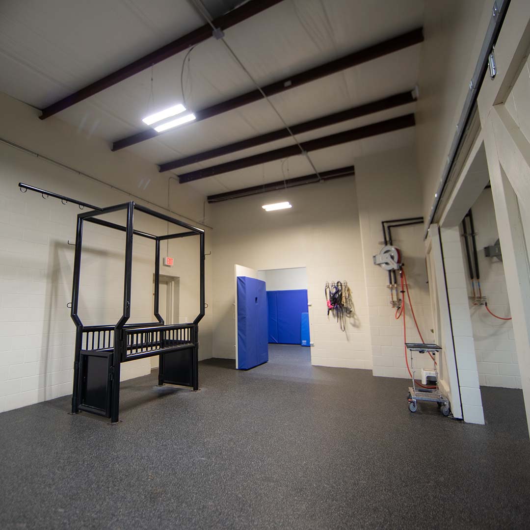 Treatment Room