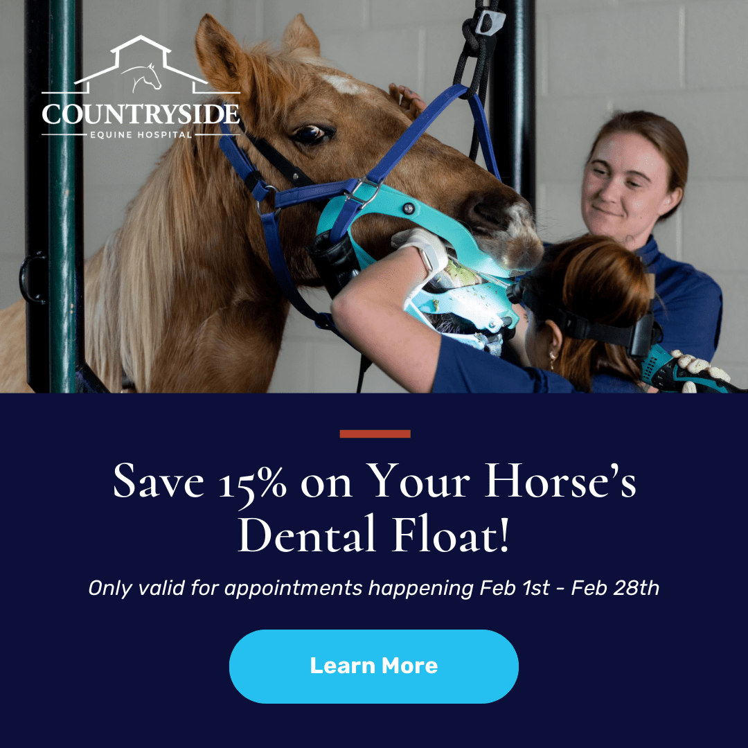 Countryside Equine Hospital Dental Promo