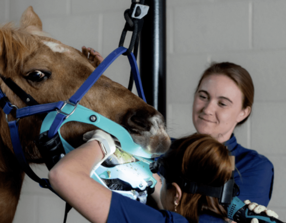 Screenshot 2026 01 07 At 2.01.17 pm