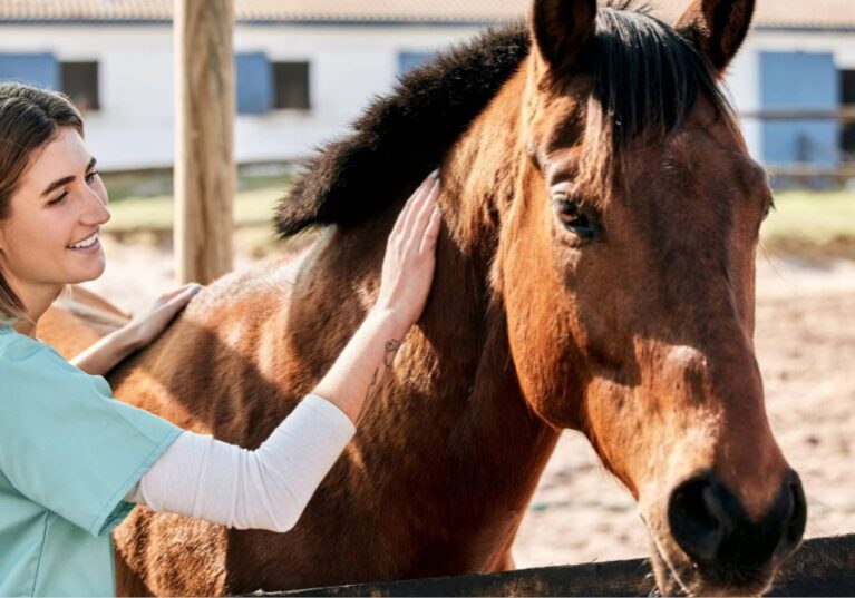 female equine vet petting a horse at its farm