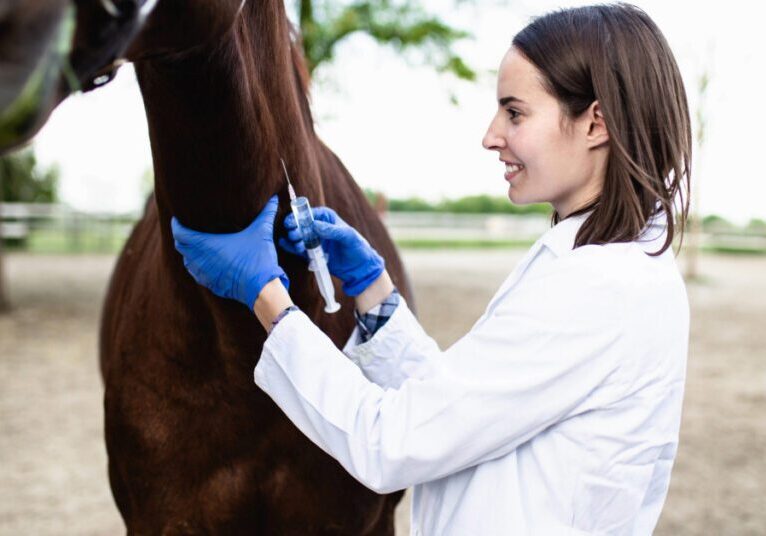female vet administering vaccine to horse at farm