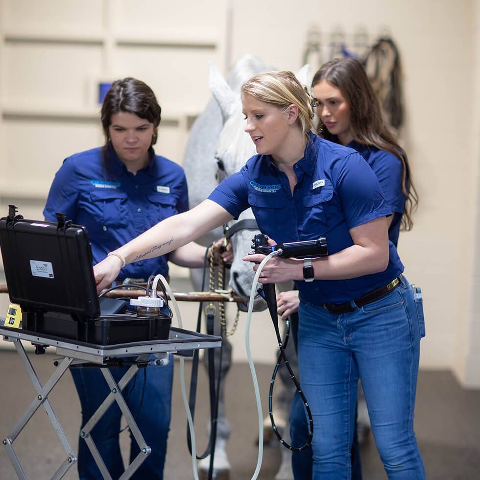 Equine Vets Utilizing Diagnostic Technology