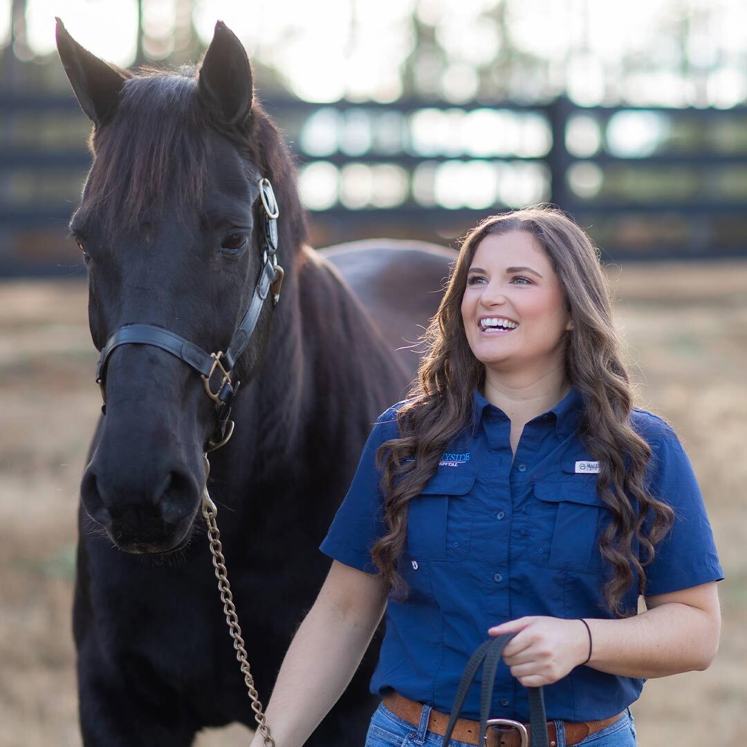 Happy Female Veterinarian With Brown Horse Happy Female Veterinarian With Brown Horse