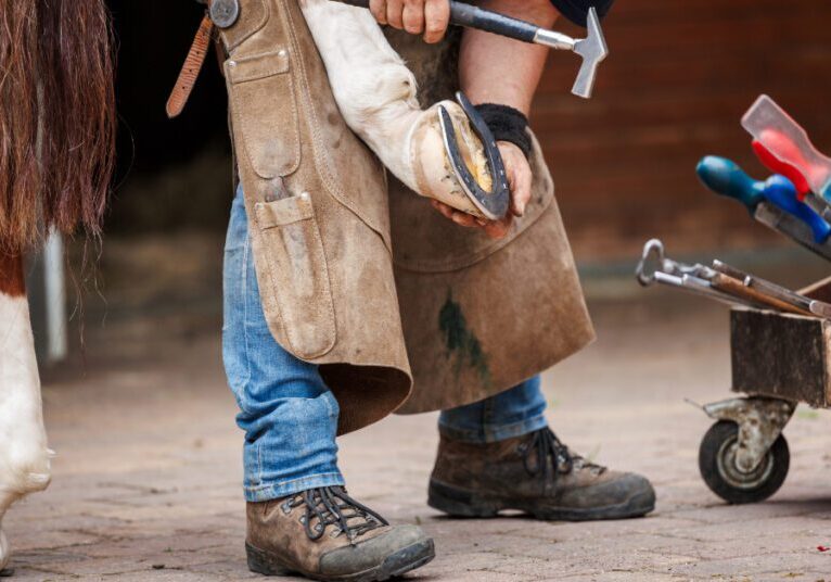 farrier nailing horseshoe to horse hoof with a hammer